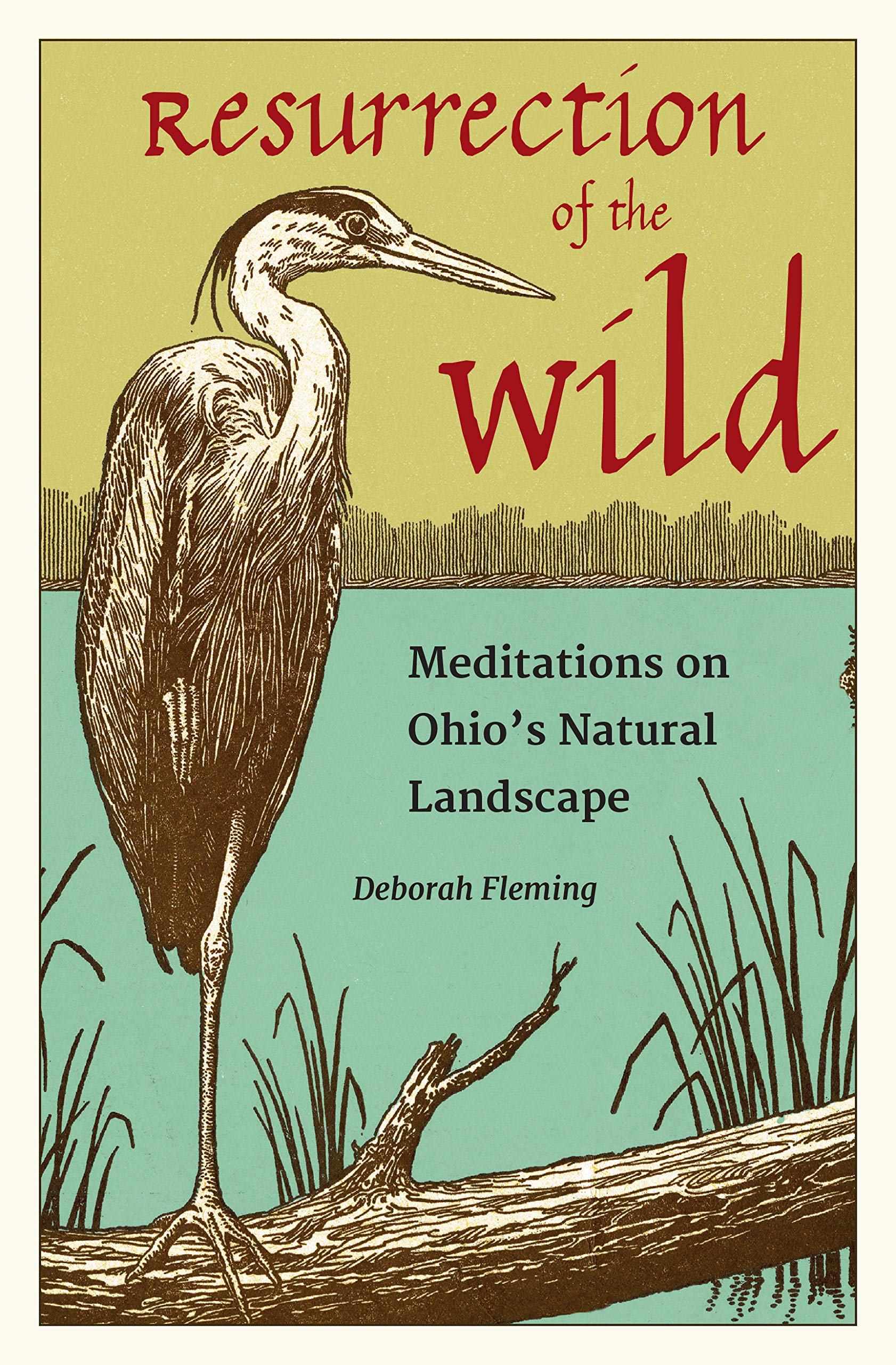 Q&A with Dr. Deborah Fleming, author of “Resurrection of the Wild:  Meditations on Ohio's Natural Landscape” – Heights Libraries